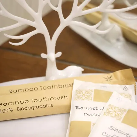 Parva Domus Apartmán