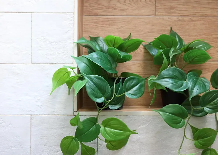 Parva Domus * 巴里